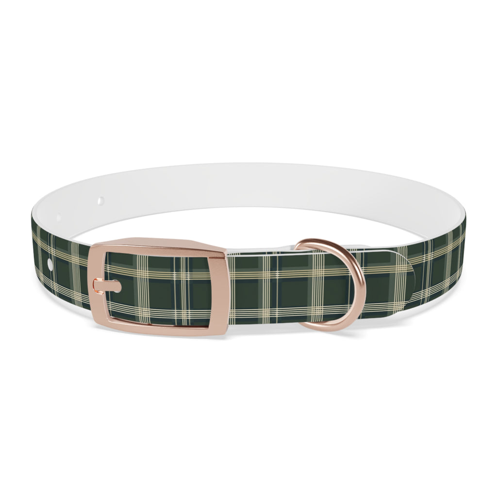 Ivy Lane Plaid Collar
