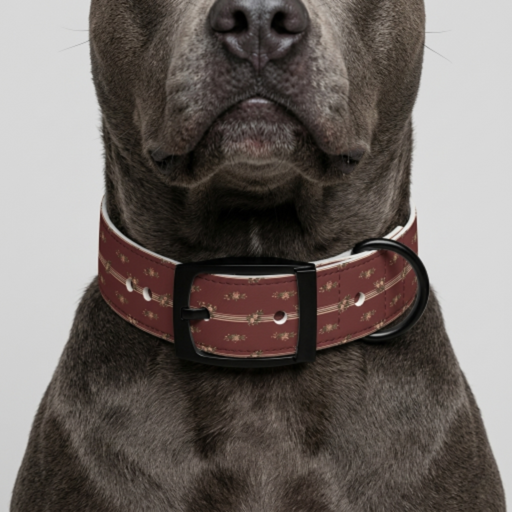 The Drawing Room Collar