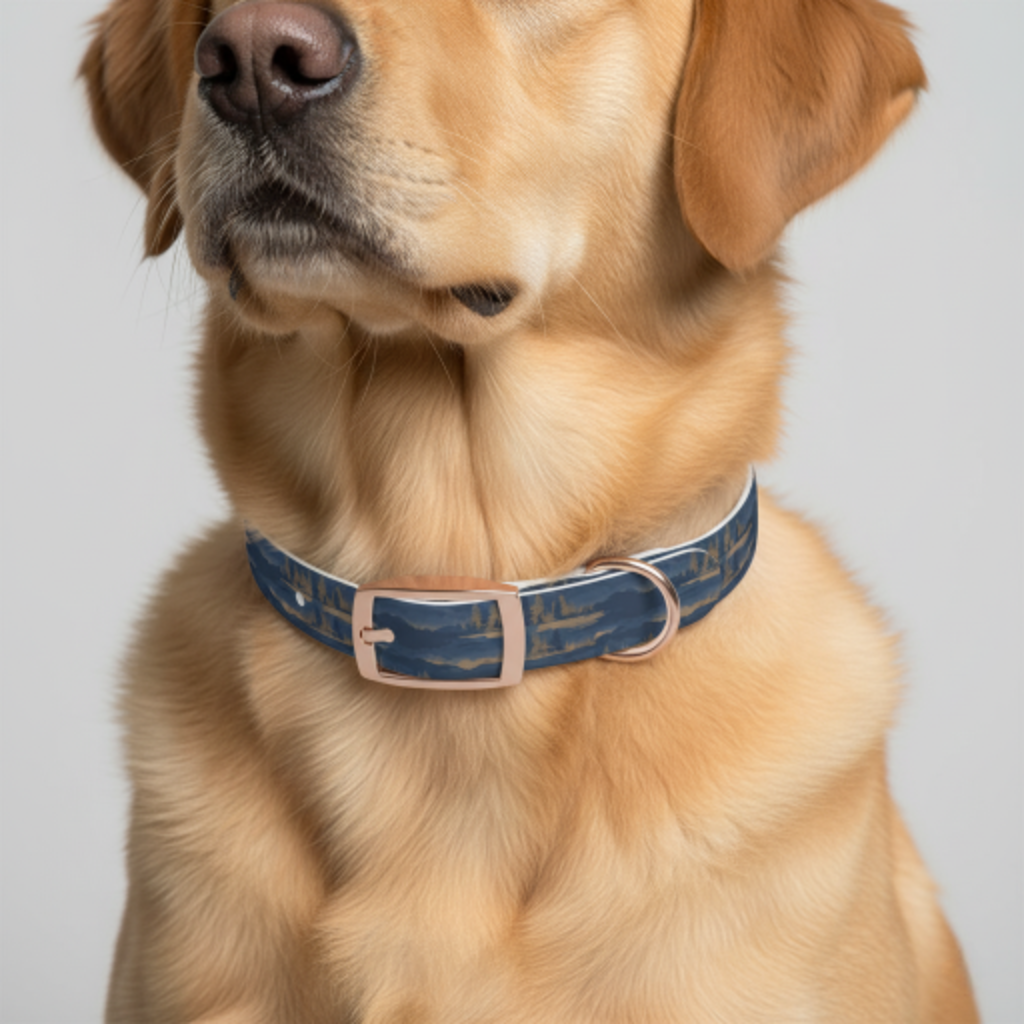 Blue Canyon Dog Collar