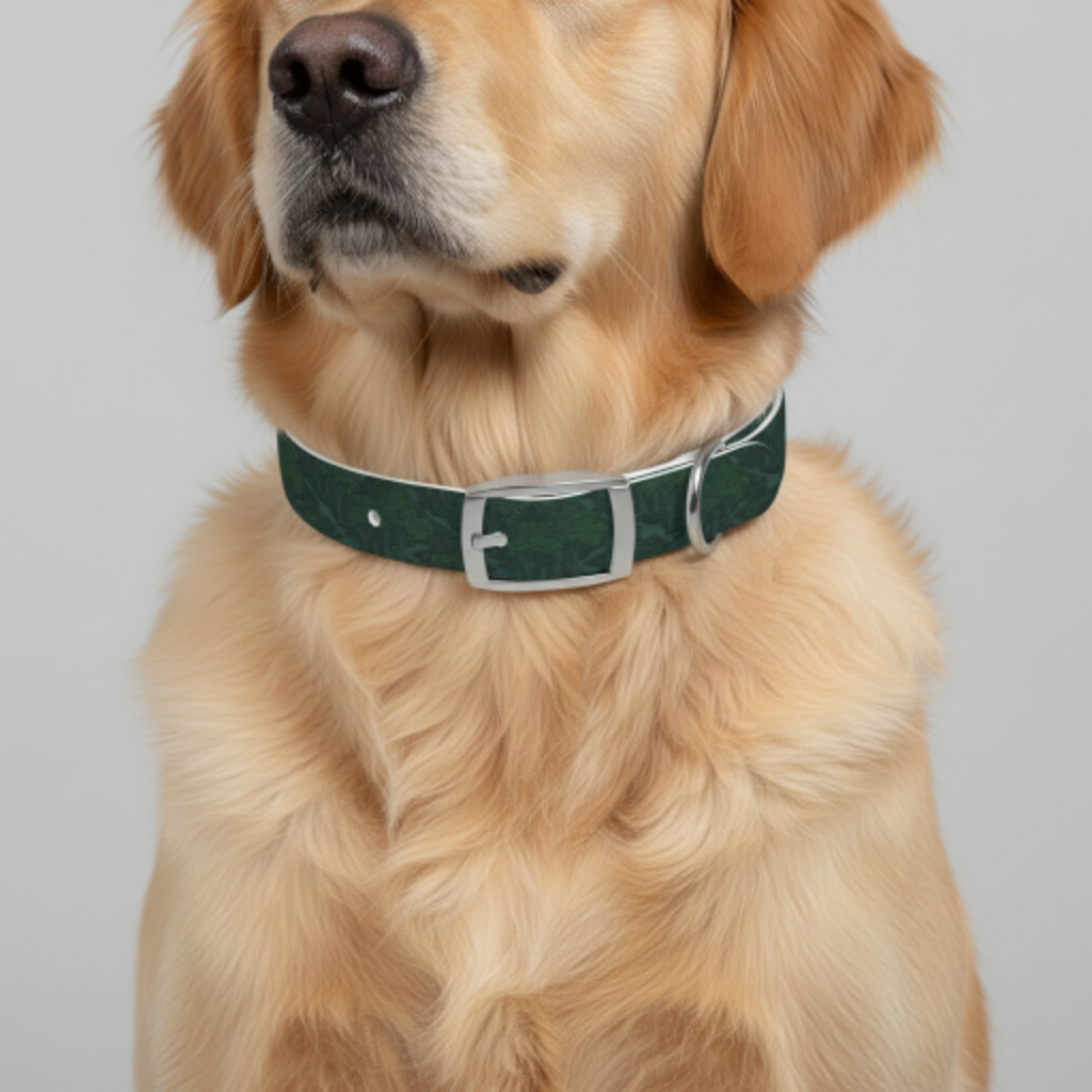The Secret Garden Collar