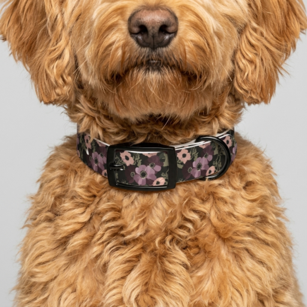 Wildflower Walk Dog Collar