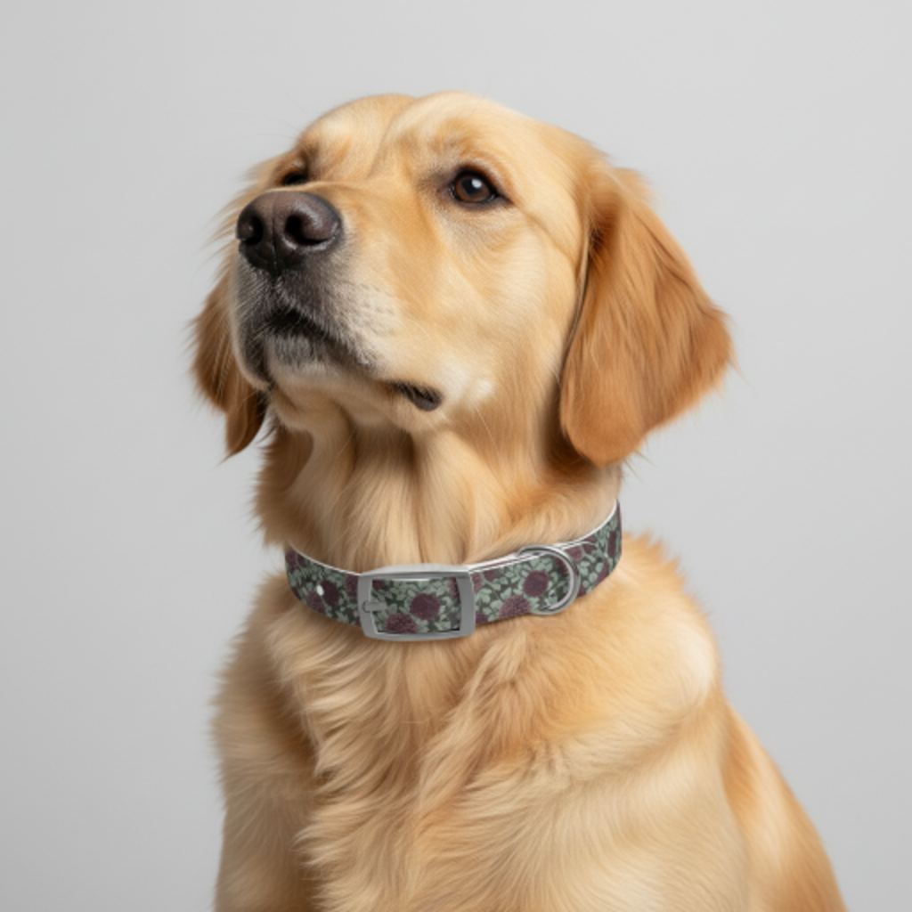 After Dark Dog Collar